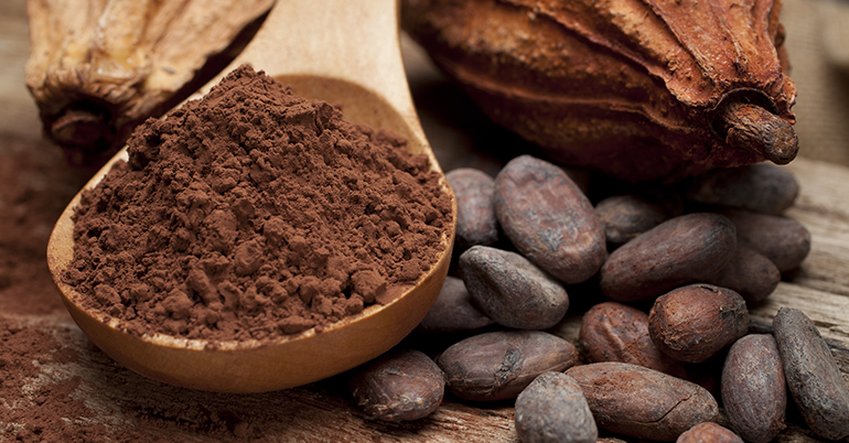 Observartorio del cacao, cacao