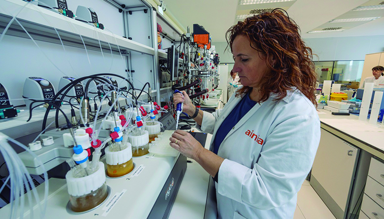 Alimentación, microbiota y cerebro: una línea de investigación en desarrollo