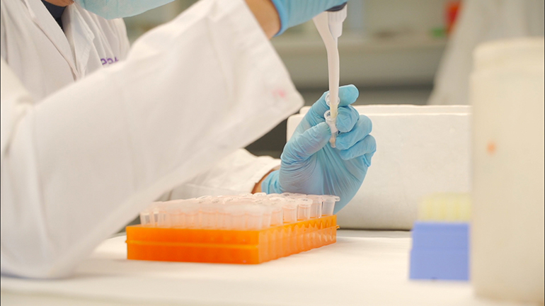Eurecat investigará cómo un compuesto natural regula el ritmo circadiano y el colesterol en trabajadores nocturnos