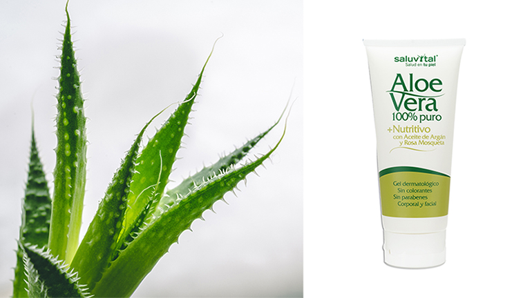 Gel dermatológico Aloe Vera Nutritivo