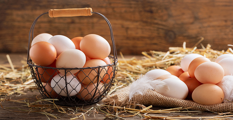 El huevo, protagonista del Día Mundial de la Salud como alimento clave, accesible y respaldado por la ciencia