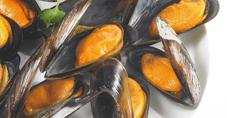 nutrasalud mejillones