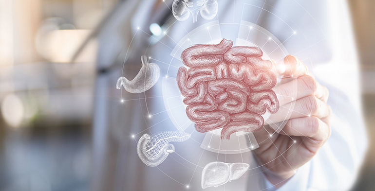 El aliado natural para mejorar tu bienestar digestivo y mental