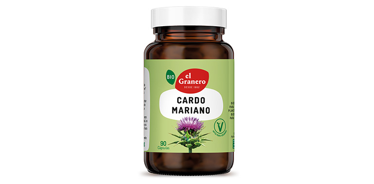 Cardo mariano para cuidar el hígado