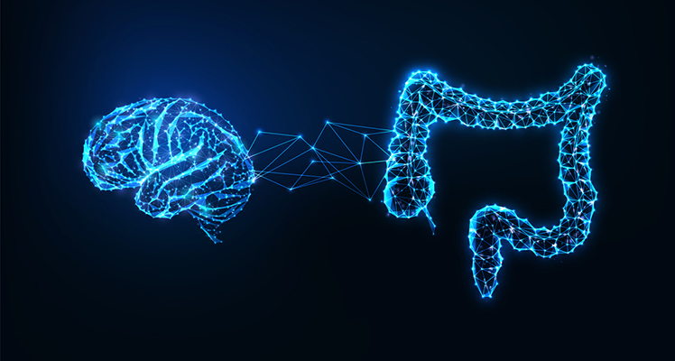 microbiota Alzheimer