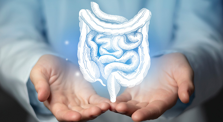Alimentación y abordaje natural de las molestias digestivas: enfoque desde la práctica nutricional