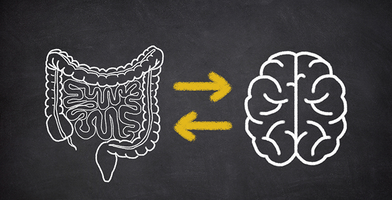 -relacion-intestino-cerebro-revela-que-estres-social-impacta-en-tu-digestion