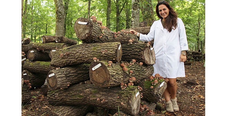 Hifas da Terra apuesta por la micología para crear bosques más resilientes en Galicia