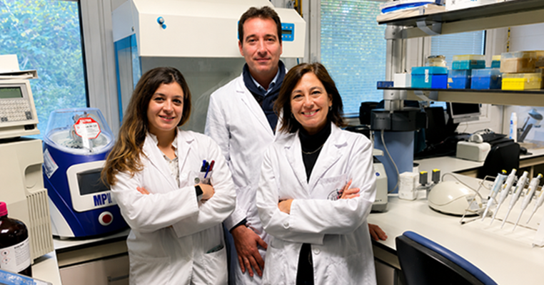 Universidad de Jaén premio Castillo de Canena