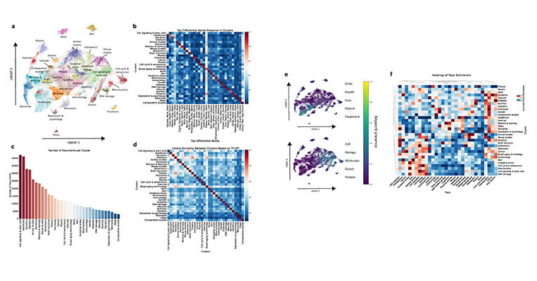 Crean el  mayor mapa de la ciencia del envejecimiento a través de la IA