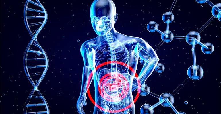 Doctora Sánchez Sotelo (Neolife): 