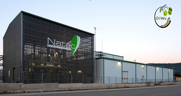 Natac OliWa 