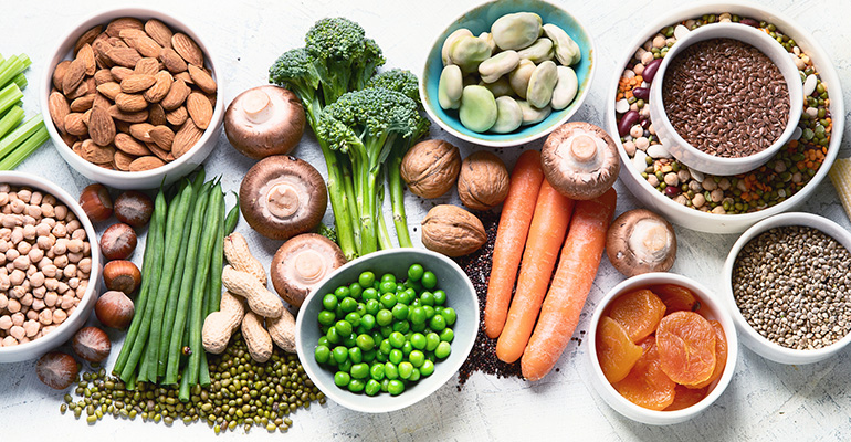 plant based dieta