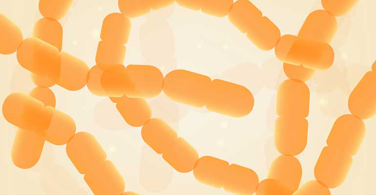 prebioticos mibrobiota nutrasalud