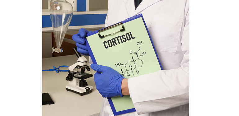 cortisol-desmontando-mitos-sobre-hormona-estres