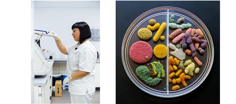 -alimentacion-personalizada-mejora-salud-intestinal-en-60-participantes-proyecto-genie