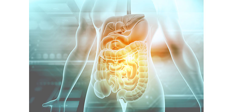 roma-v-actualiza-abordaje-trastornos-digestivos-situa-eje-intestino-cerebro-en-centro-diagnostico