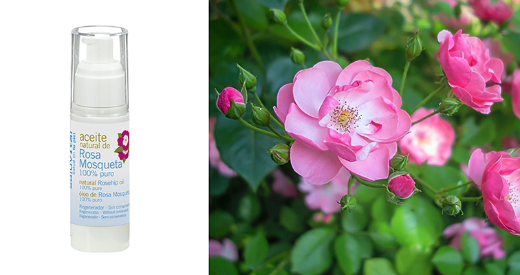 Aceite puro de rosa mosqueta 100% natural de Saluvital