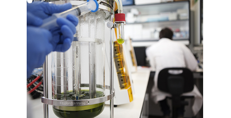 suannutra-usa-se-hace-con-derechos-distribucion-en-ee-uu-tetrasod
