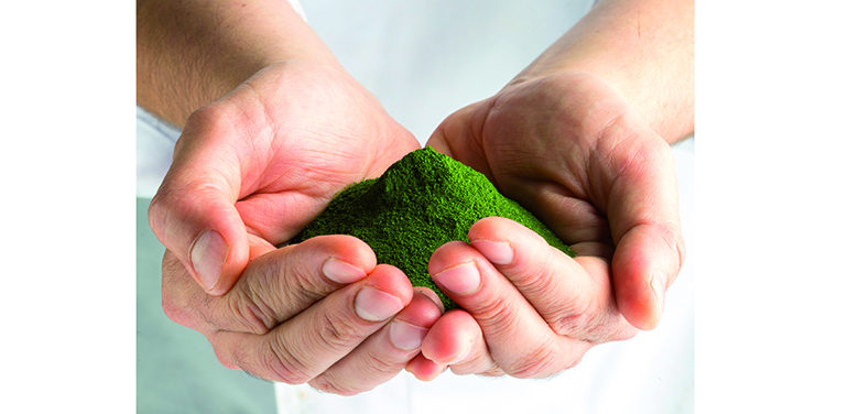 suannutra-usa-se-hace-con-derechos-distribucion-en-ee-uu-tetrasod