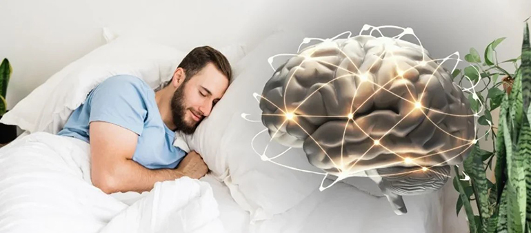 dormir-bien-comer-sano-moverse-formula-reducir-impacto-estres-en-cerebro